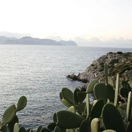 Blue Island Caterina